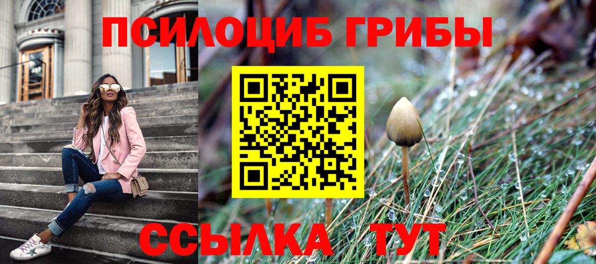 Галлюциногенные грибы Psilocybine cubensis Губкинский